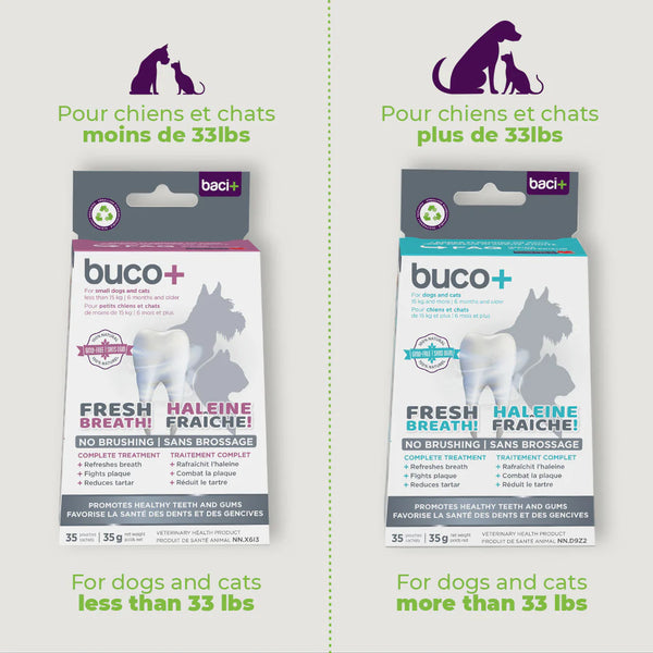 Poudre Soins Dentaires Pour Chiens Et Chats 100g - Anti-tartre, Rafraîchit L'haleine - Simple à Utiliser - 9