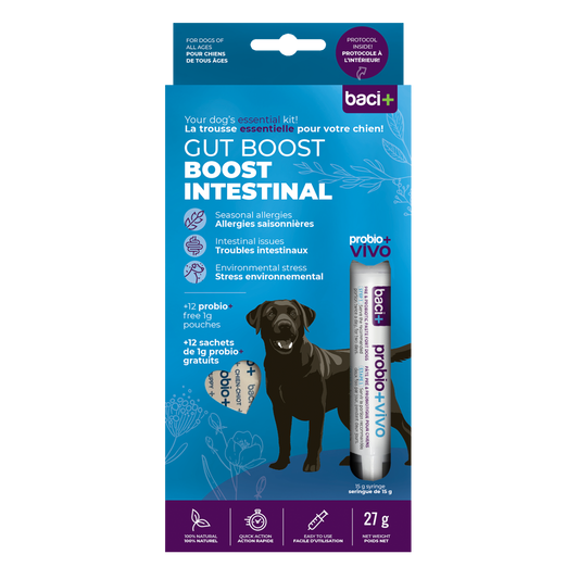 Trousse boost intestinal | pré et probiotiques | chiens