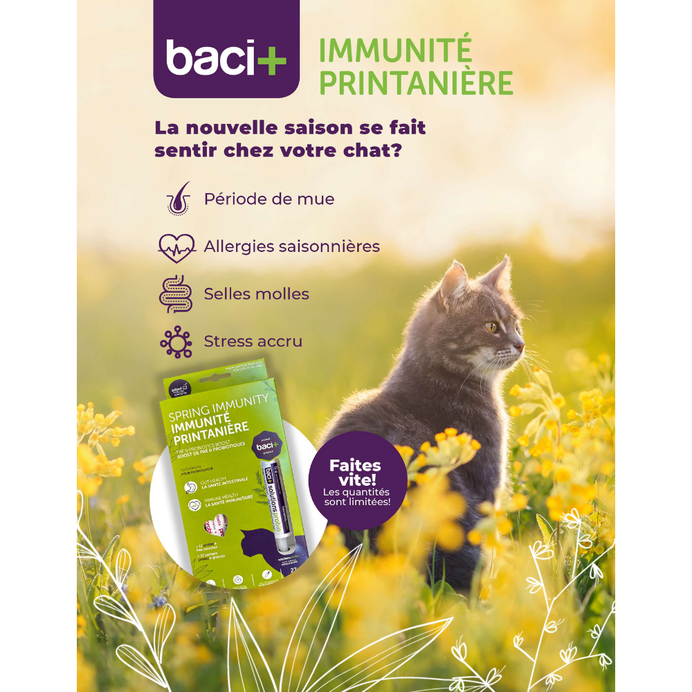 Trousse Immunité Printanière | Chats