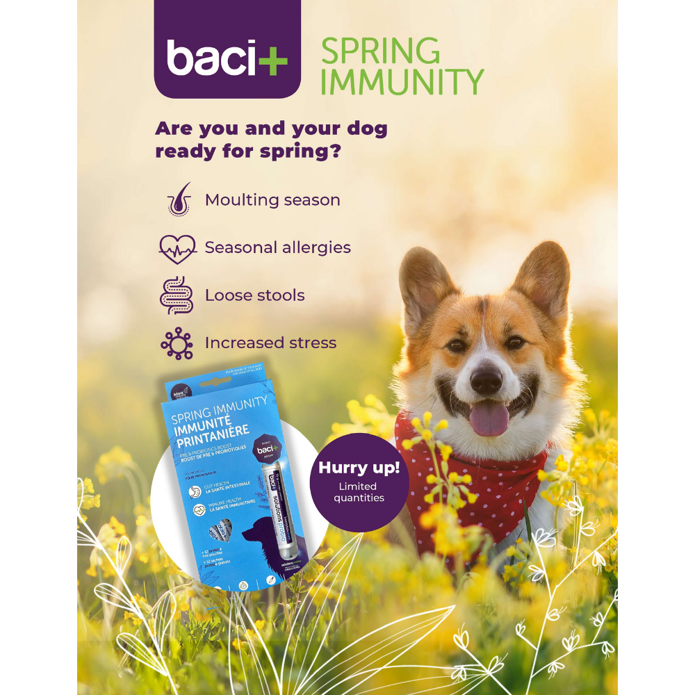 Spring Immunity Kit | Dogs