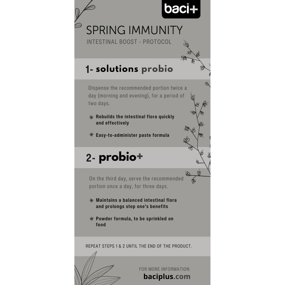 Spring Immunity Kit | Cats