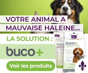 Votre animal a mauvaise haleine? La solution : buco+