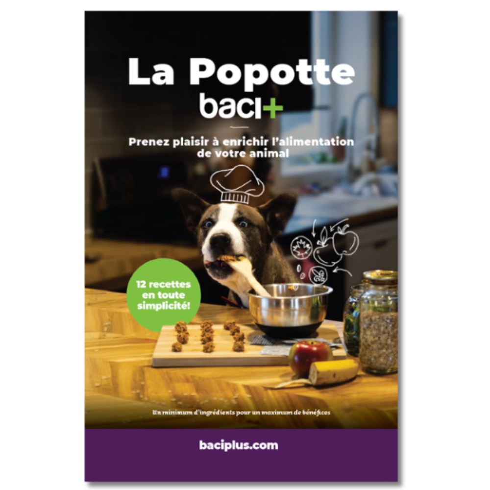 Livre de recettes | La Popotte baci+