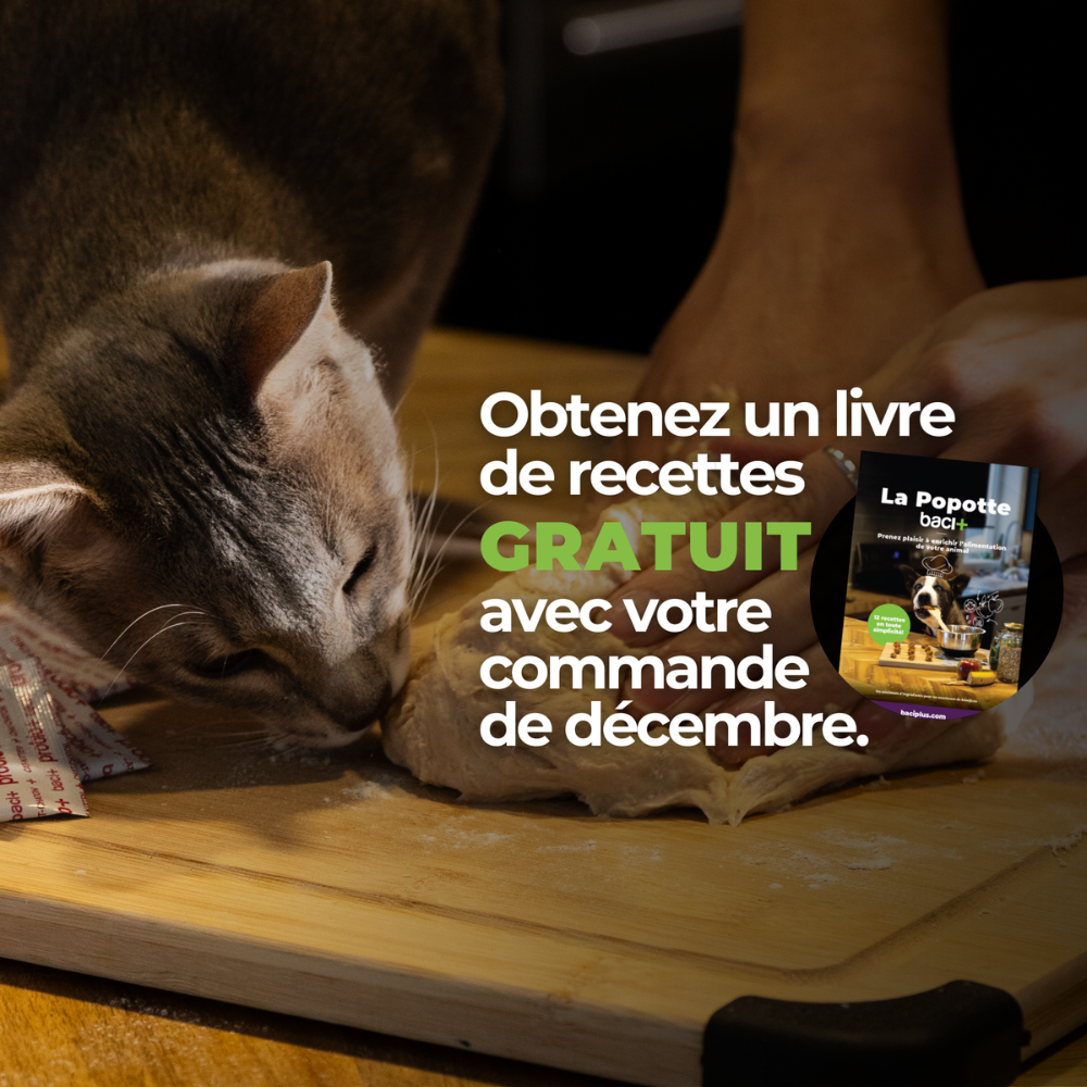 Livre de recettes | La Popotte baci+ (PDF)