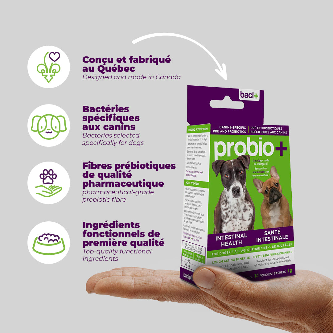 Pre and probiotics • Prevention and maintenance  | Dogs