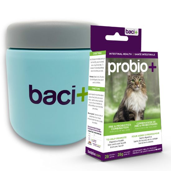 Pre and probiotics • Prevention and maintenance  | Cats