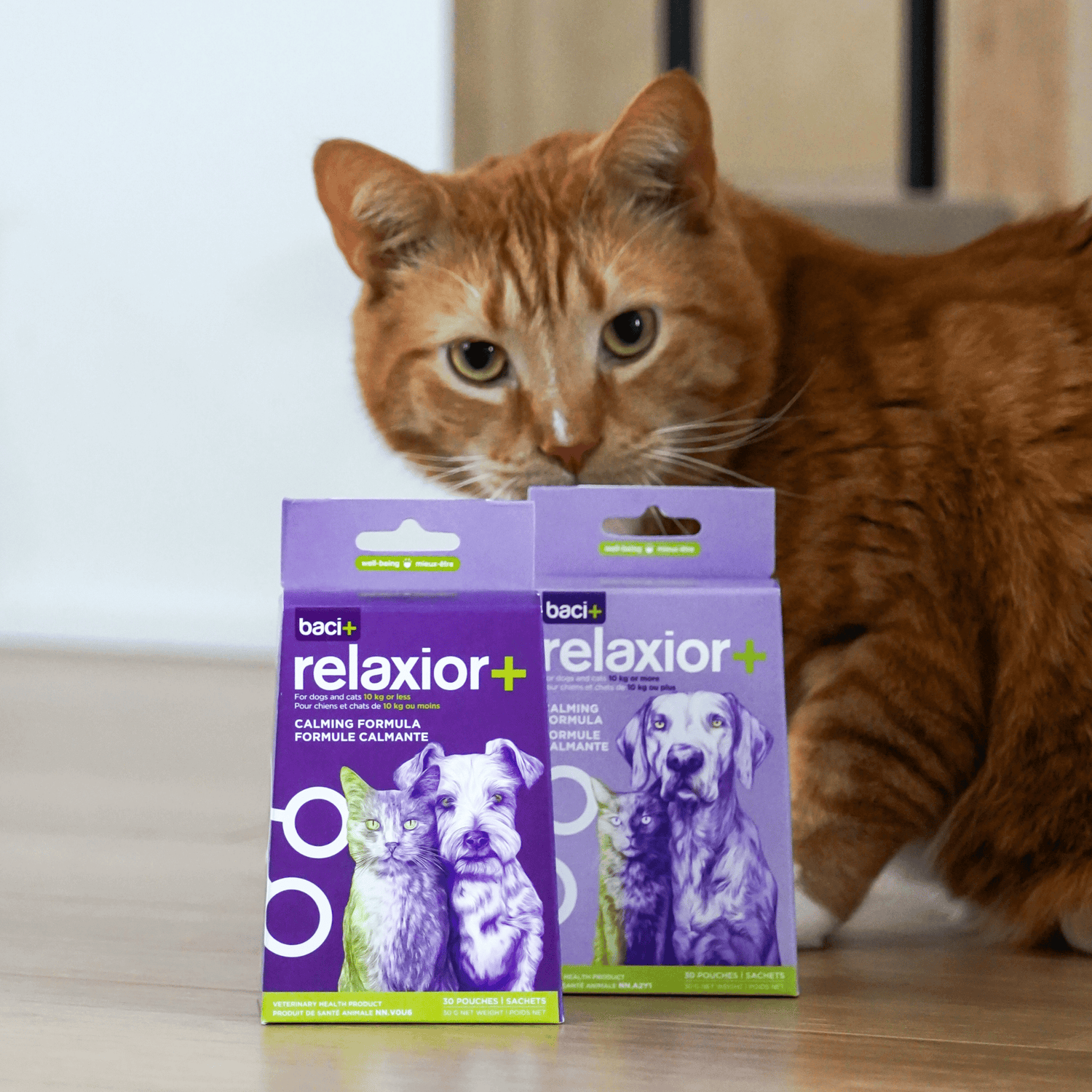 relaxior+ Formule calmante naturelle pour chiens et chats (précommande mi-janvier 2026)