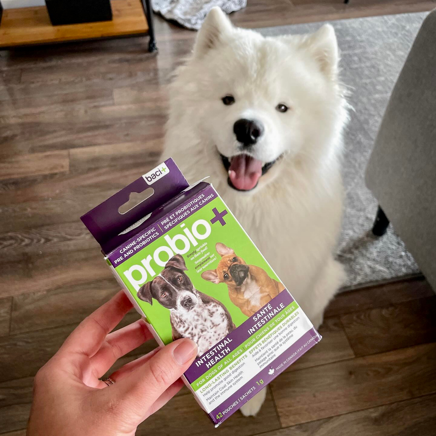 Pre and probiotics • Prevention and maintenance  | Dogs