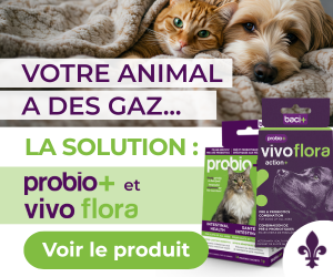 Votre animal a des gaz? La solution : probio+ et vivoflora