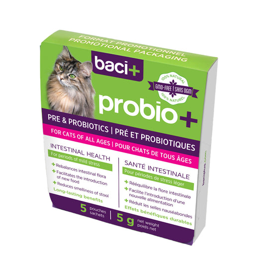 Pre and probiotics • Optimal intestinal health | Adoption format | Cats