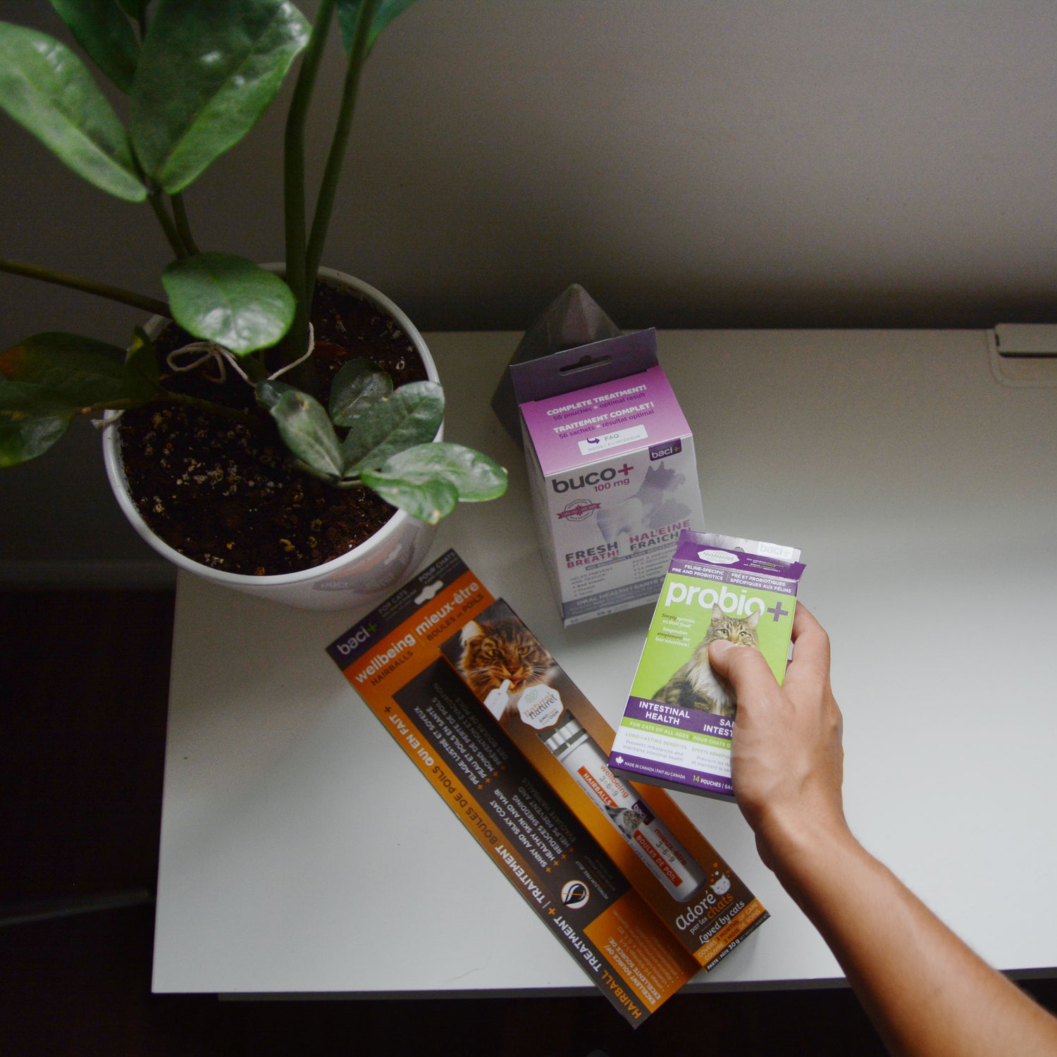 Gut Health • Oral Health • Hairball Relief | Adult Cats
