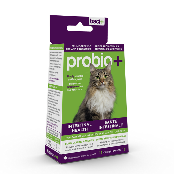 Cat probiotics with bifidobacterium online and enterococcus