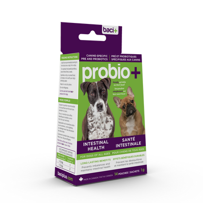 Pre and probiotics • Promotes and maintains a healthy intestinal flora  | Dogs