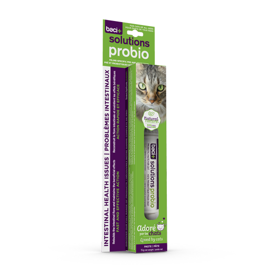 Pre and probiotics • Intestinal problems | Cats