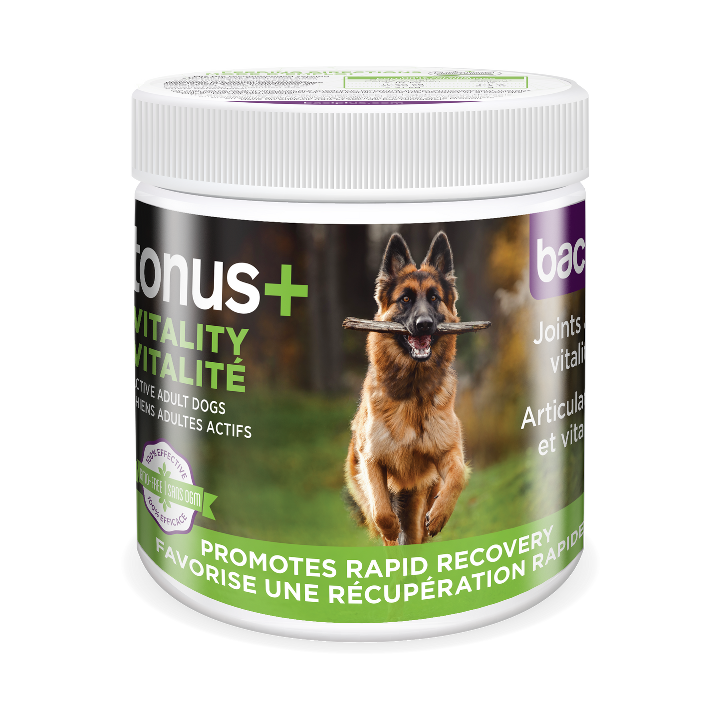 Intestinal health • Vitality • Recovery • Joints | Dogs