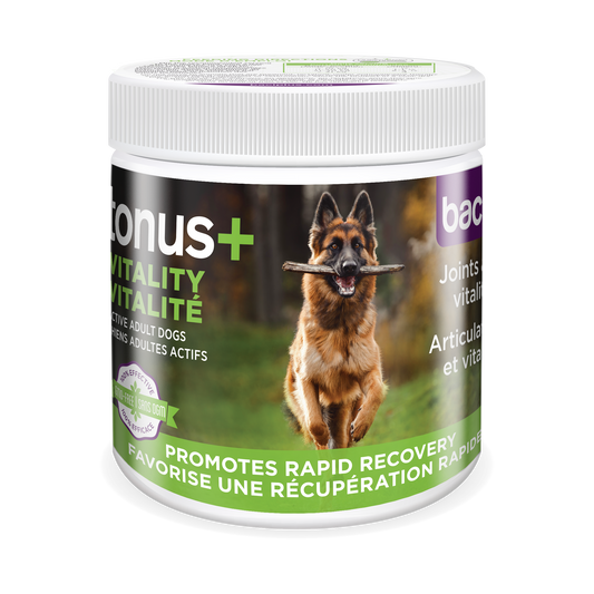 Intestinal health • Vitality • Recovery • Joints | Dogs