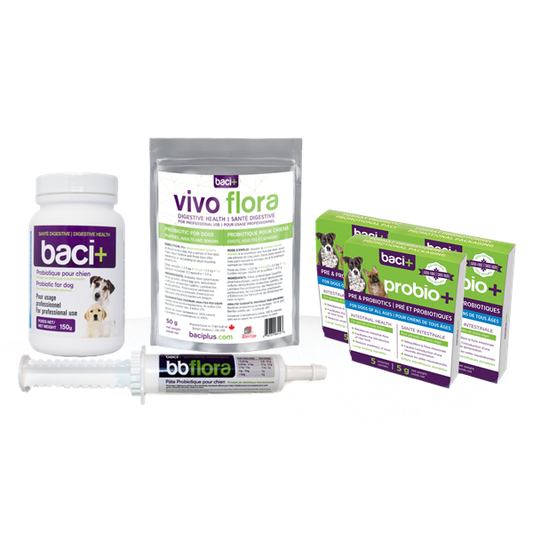 Pre and probiotics  • Intestinal health • Complete line  | Breeders | Dogs