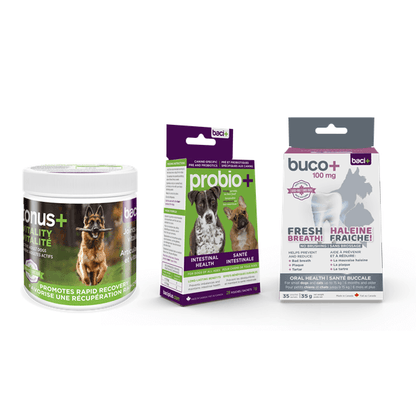 Vitality • Recovery • Joints care • Gut health • Oral care | Adult dogs