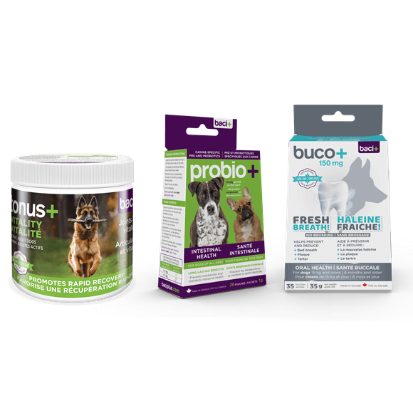 Vitality • Recovery • Joints care • Gut health • Oral care | Adult dogs