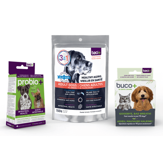 Vitality • Recovery • Joints care • Gut health • Oral care | Aging Dog