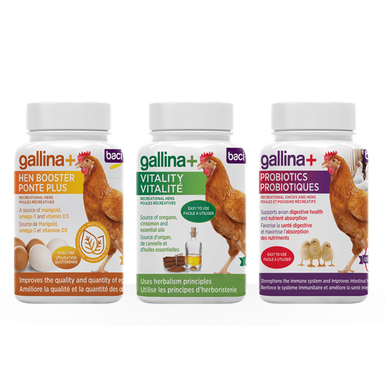 Vitality • Immune health • Maintenance of overall health • Optimization of egg production and nutritional qualities | Hens