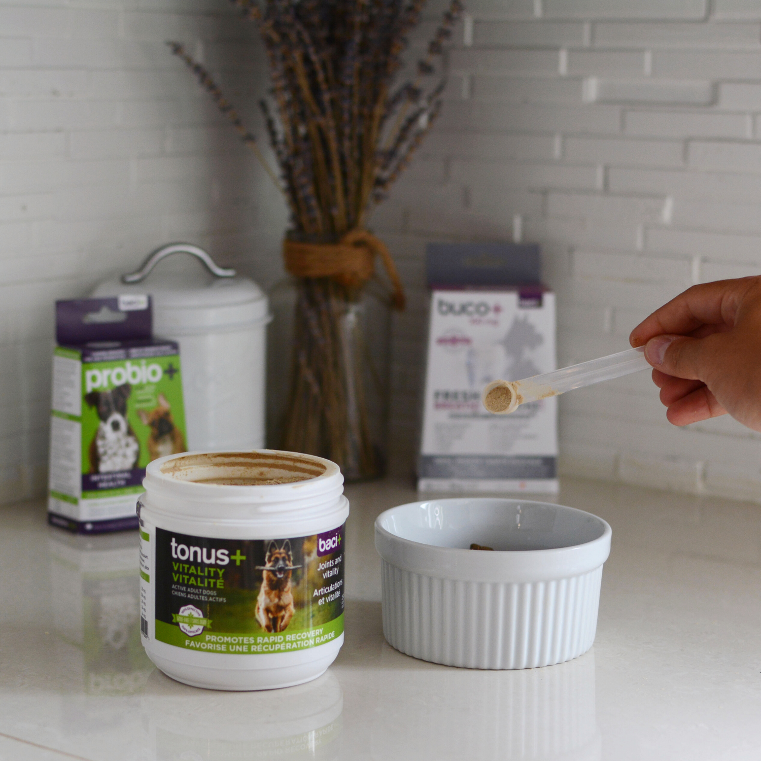 tonus+ Vitalité, récupération et confort articulaire pour chiens