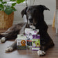 Vitality • Recovery • Joints care • Gut health • Oral care | Aging Dog